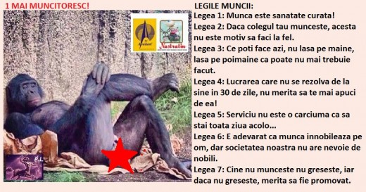 LEGILE MUNCII