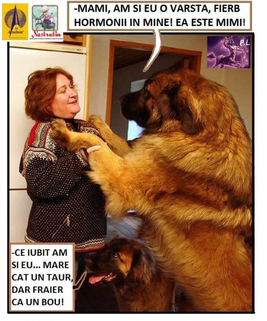 MARE SI FRAIER