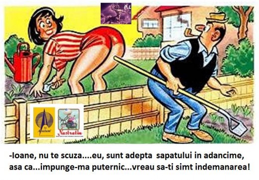 GRADINARUL ISCUSIT