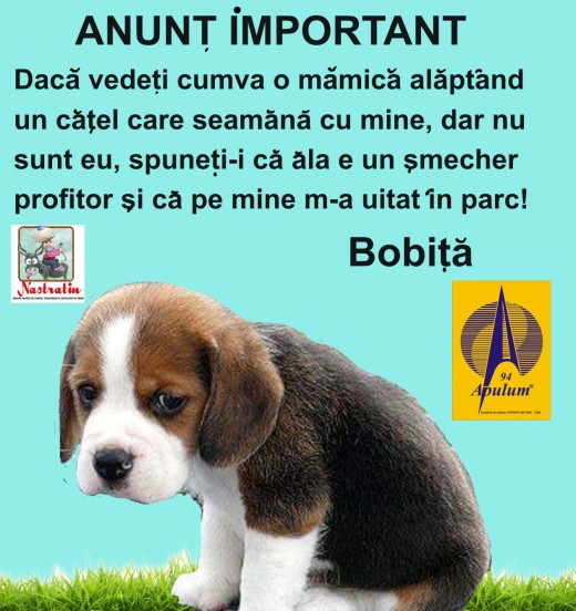 ANUNT IMPORTANT