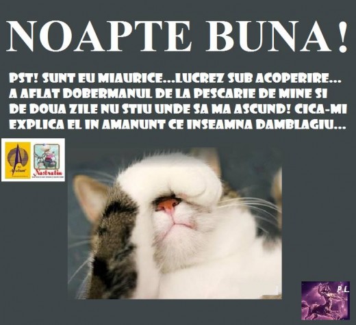 NOAPTE BUNA!