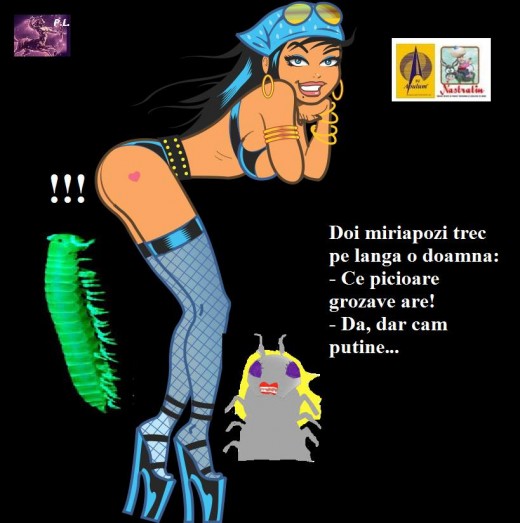 PICIOARE FRUMOASE