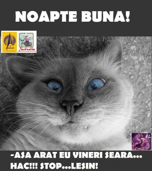 NOAPTE BUNA!