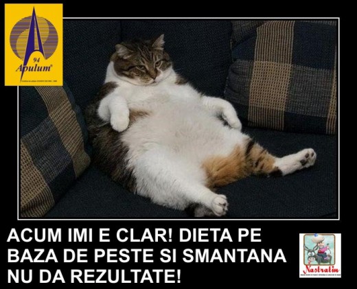 DIETA FARA REZULTATE