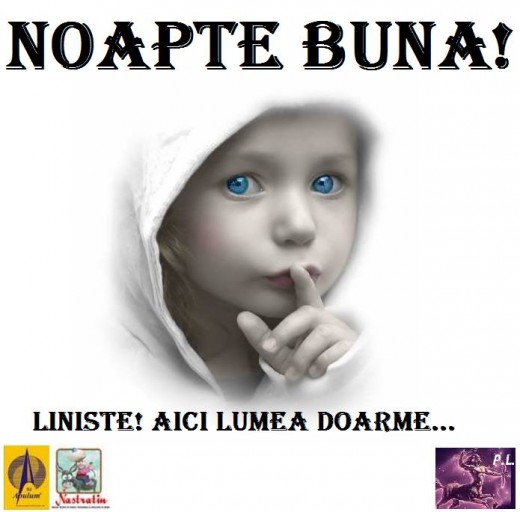 NOAPTE BUNA