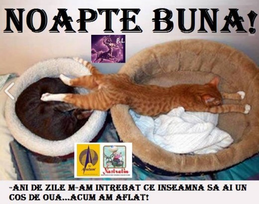 NOAPTE BUNA!