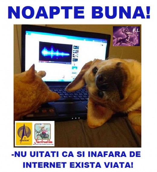 NOAPTE BUNA!