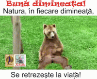 bdnatura