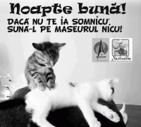 NOAPTE BUNA