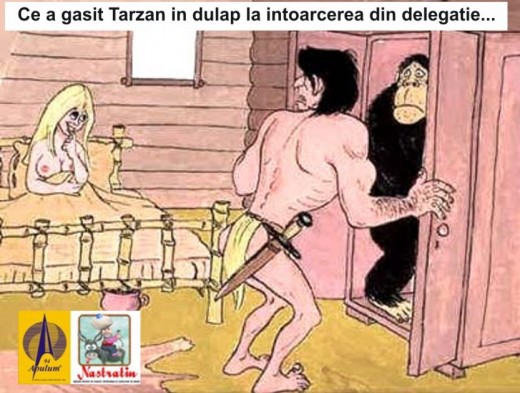 SURPRIZA LUI TARZAN