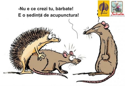 ACUPUNCTURA