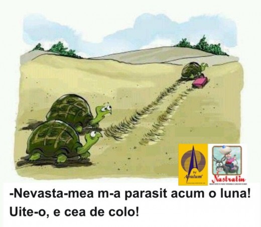 Parasit de sotie