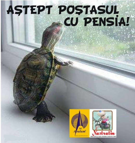 In asteptarea pensiei