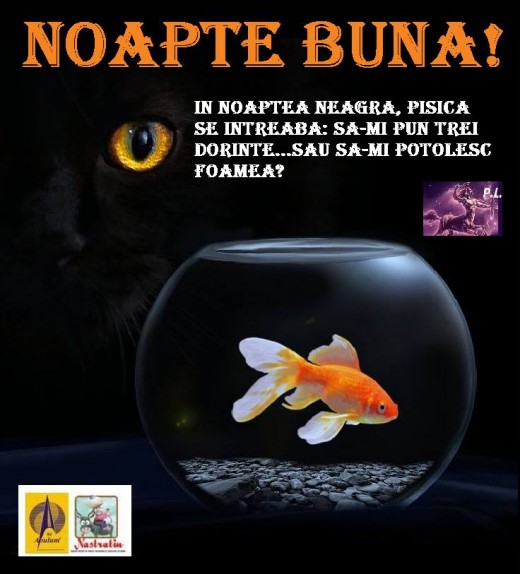 NOAPTE BUNA