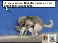 Mama nu e de acord!!!