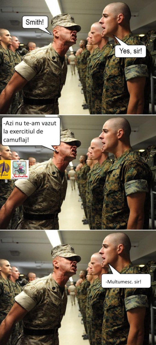 EXERCITIUL DE CAMUFLAJ