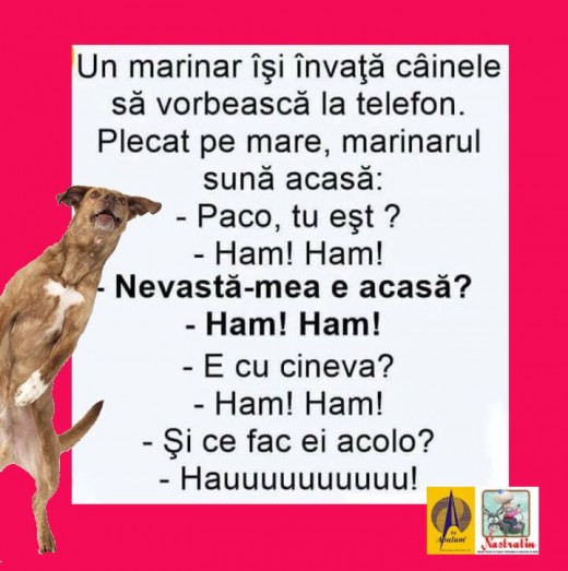 Cainele paracios.