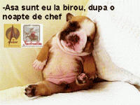 Dupa o noapte de chef