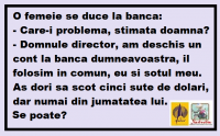 DIN JUMATATEA SOTULUI