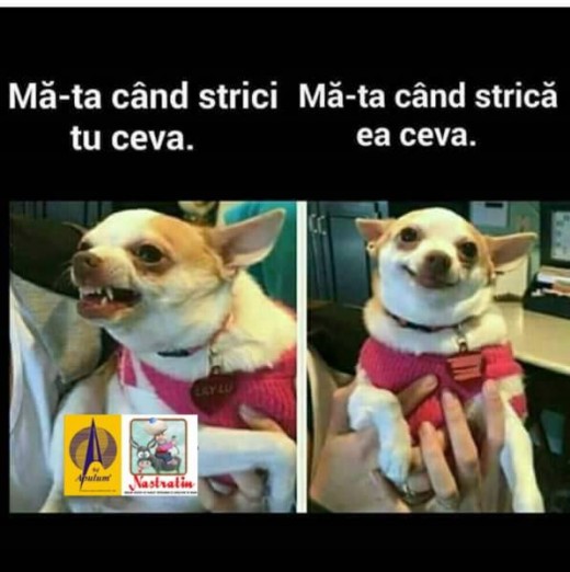 Diferenta mare