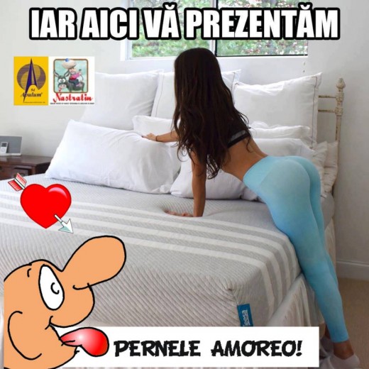 Pernele Amoreo!