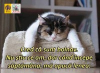 Mi-e o lene de ma doare…