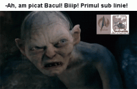 A picat Bacul!