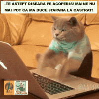 Mesaj disperat