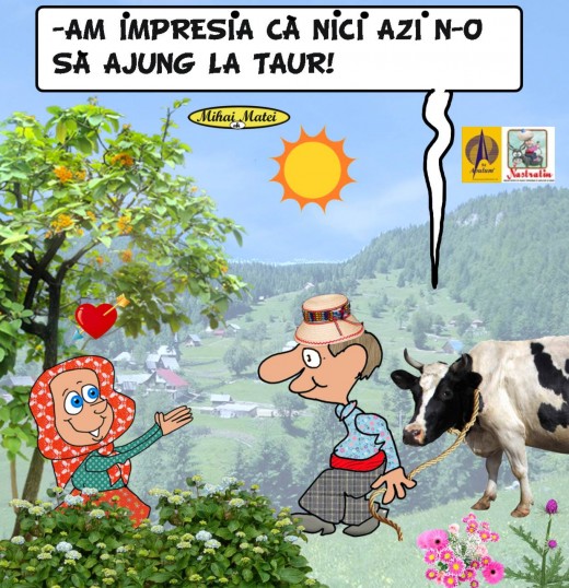 Vaca ghinionista