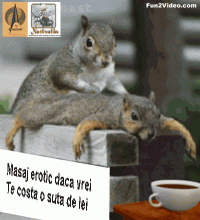 Cat mai costa un masaj erotic?