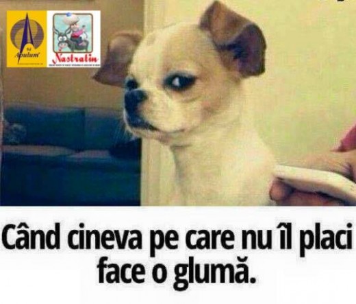 O  gluma