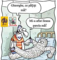 Sotie fara mila
