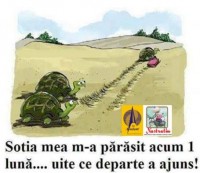 Sotia fugita