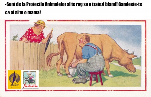 Protectia animalelor