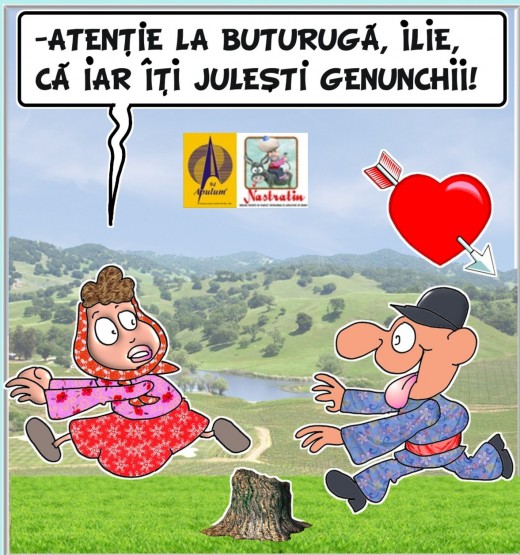 ATENTIE LA BUTURUGA!