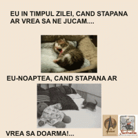 ZIUA SI NOAPTEA