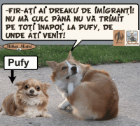 Nui plac imigrantii