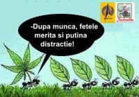 Munca si distractie