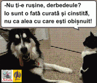 Nu sunt d-alea!