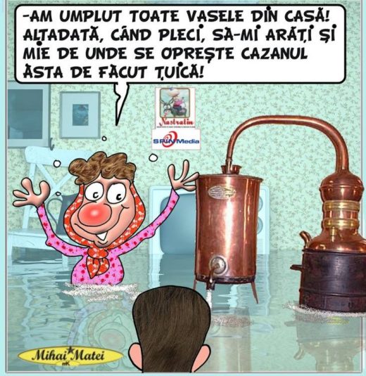 ACADEMIA DE ZAMBETE